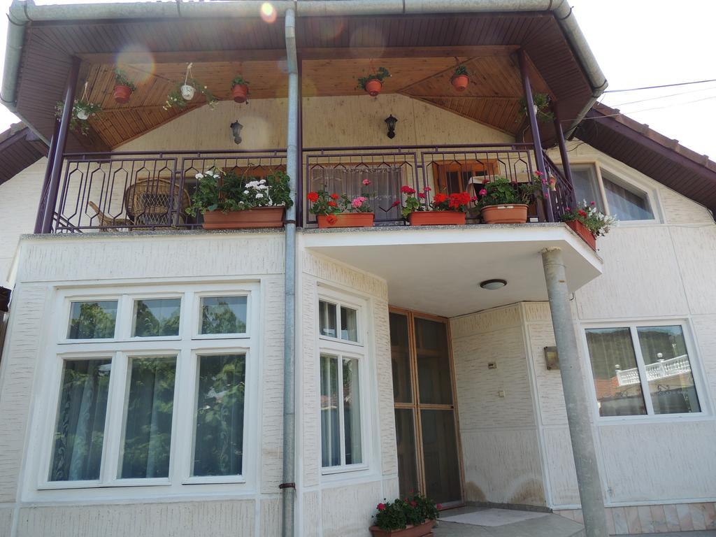 Casa Debora Haţeg Exterior foto